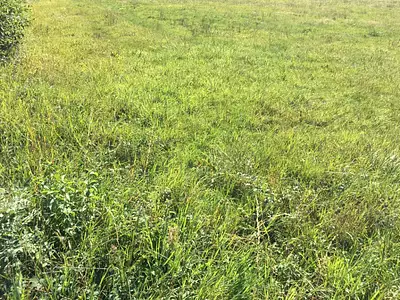 Maison neuve, 115 m²