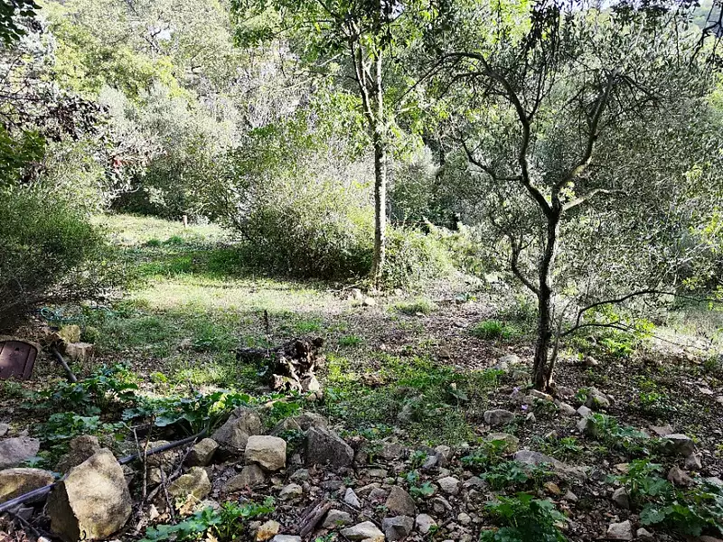 Maison neuve, 77 m² - Rocbaron (83136)