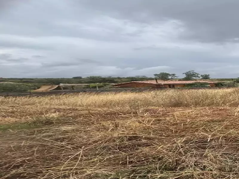 Maison neuve, 80 m² - Brugairolles (11300)