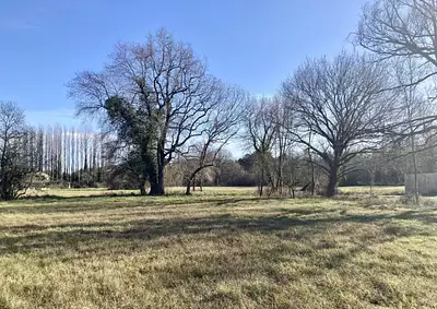 Terrain à bâtir, 900 m²