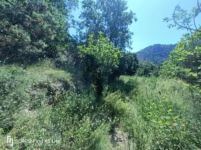 Terrain à bâtir, 846 m²