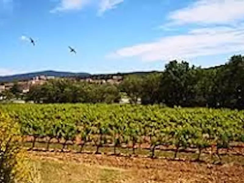 Terrain à bâtir, 449 m² - Peynier (13790)