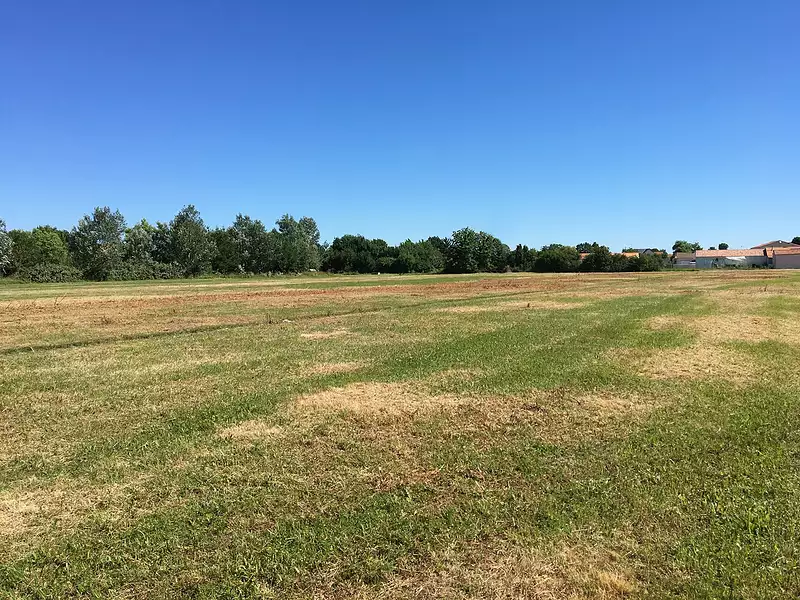 Maison neuve, 100 m² - Vairé (85150)