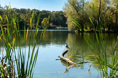 L'Écrin des Coteaux