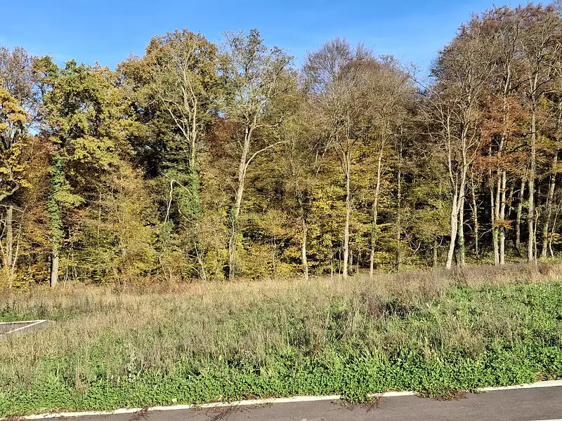 Terrain à bâtir, 512 m² - Wentzwiller (68220)