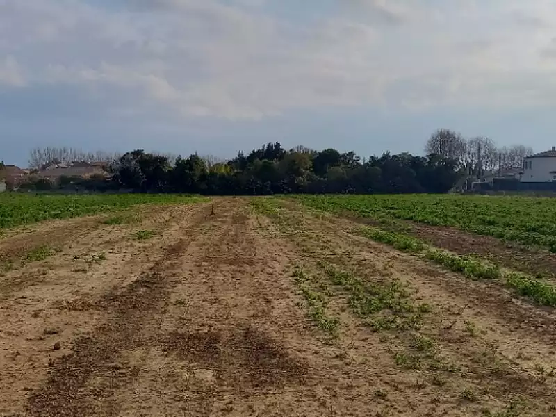 Terrain à bâtir, 521 m² - Canet (11200)