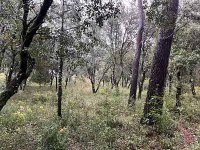 Terrain à bâtir, 1 807 m²