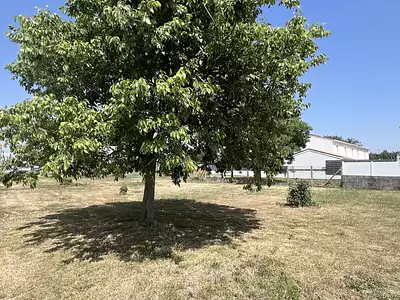 Maison neuve, 95 m²