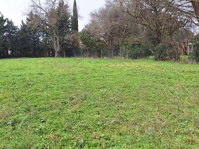 Maison neuve, 186 m² - La Salvetat-Saint-Gilles (31880)