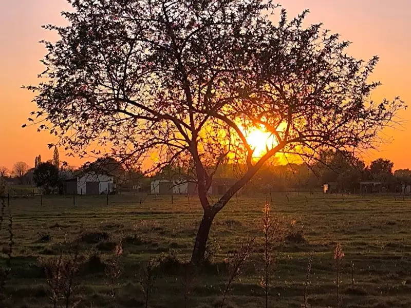 Terrain à bâtir, 550 m² - Sablons (33910)