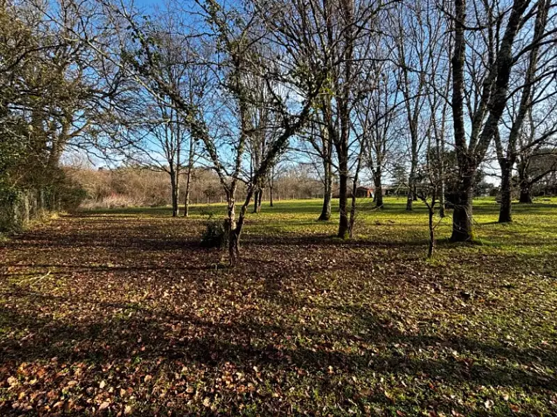 Terrain à bâtir, 770 m² - La Lande-de-Fronsac (33240)