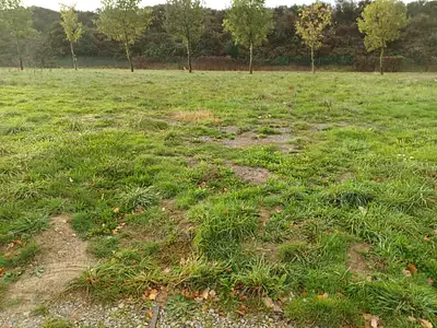 Terrain à bâtir, 549 m²