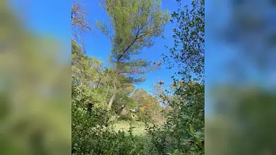 Maison neuve, 150 m²