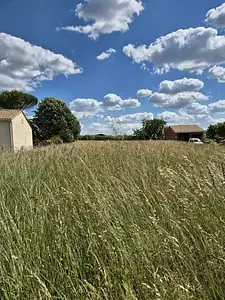 Terrain à bâtir, 1 241 m²