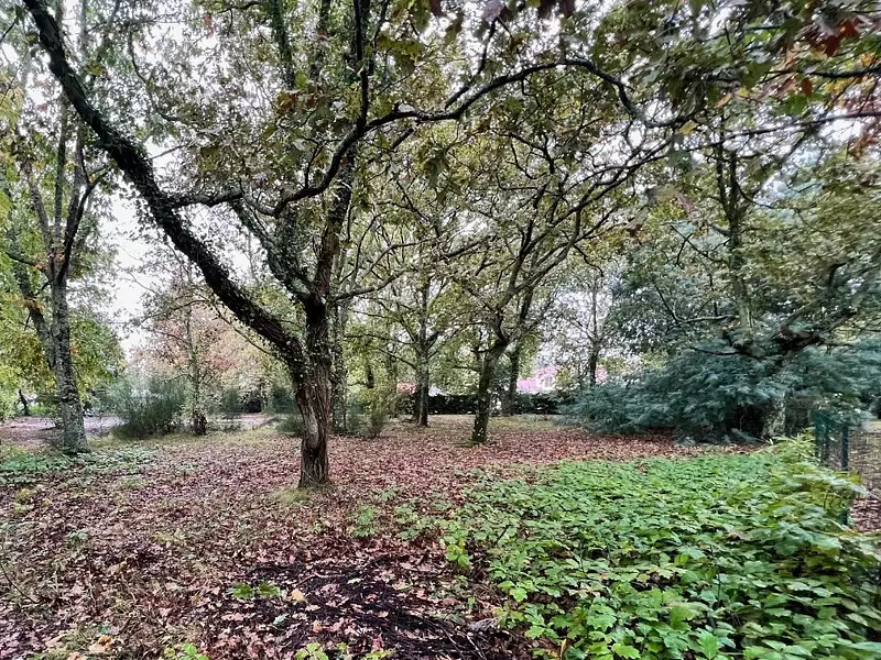 Terrain à bâtir, 655 m² - Le Teich (33470)