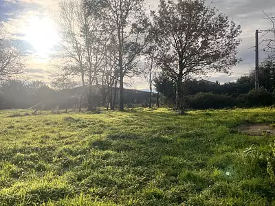 Terrain à bâtir, 604 m² - Pont-Saint-Martin (44860)