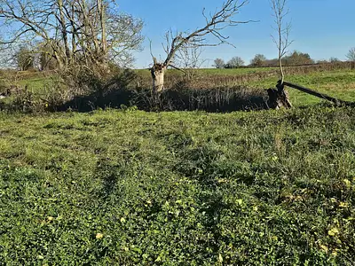 Maison neuve, 90 m²
