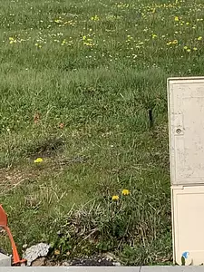 Terrain à bâtir, 886 m²