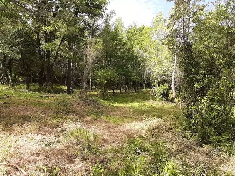 Terrain à bâtir, 976 m² - Flayosc (83780)