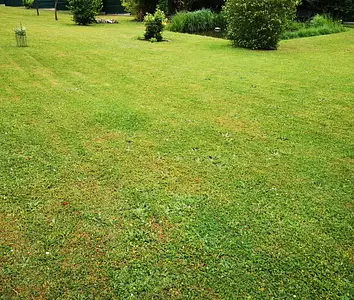 Terrain à bâtir, 1 706 m²