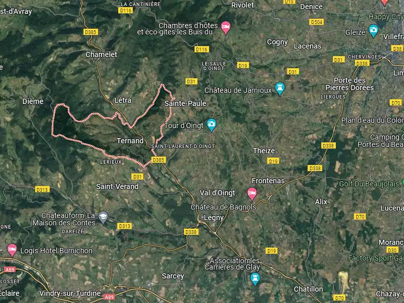 Terrain à bâtir, 600 m² - Ternand (69620)
