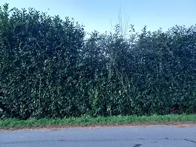 Terrain à bâtir, 400 m²