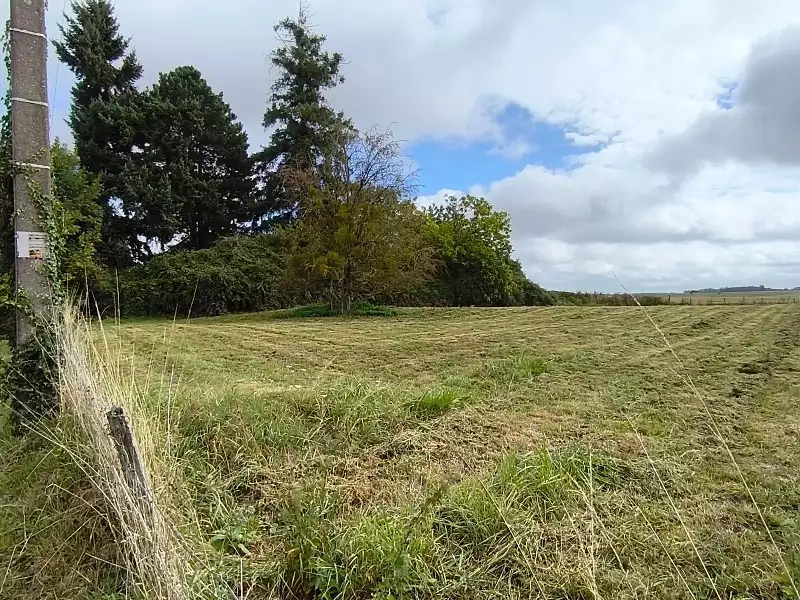 Maison neuve, 105 m² - Attainville (95570)