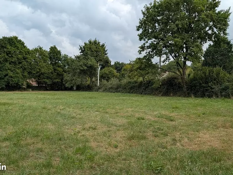 Terrain à bâtir, 1 238 m² - Vignoux-sur-Barangeon (18500)