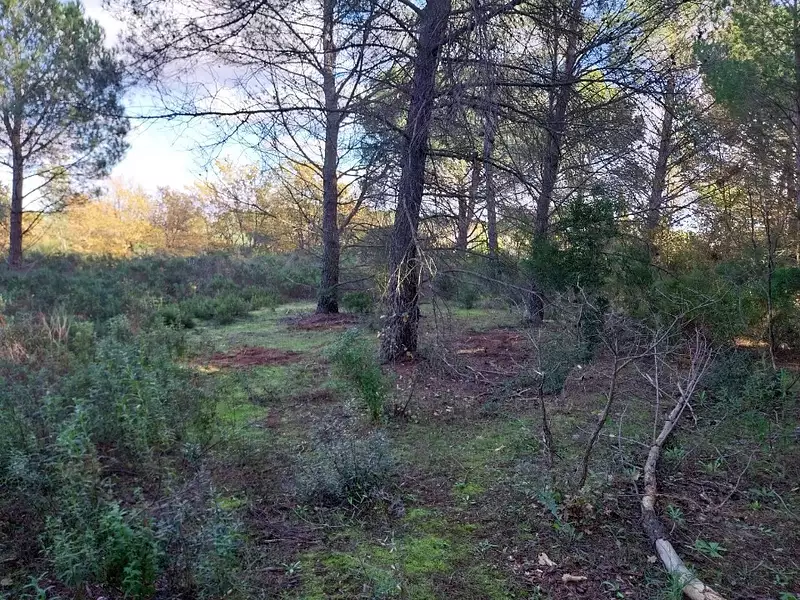 Terrain à bâtir, 656 m² - Puget-sur-Argens (83480)