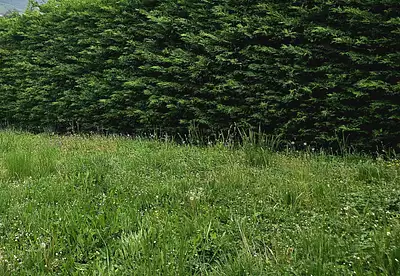 Maison neuve, 140 m²