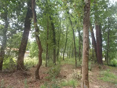 Terrain à bâtir, 608 m²