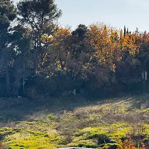 Terrain à bâtir, 699 m²