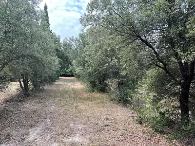 Terrain à bâtir, 1 143 m²