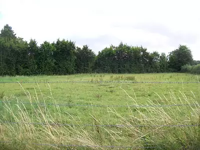 Maison neuve, 110 m²