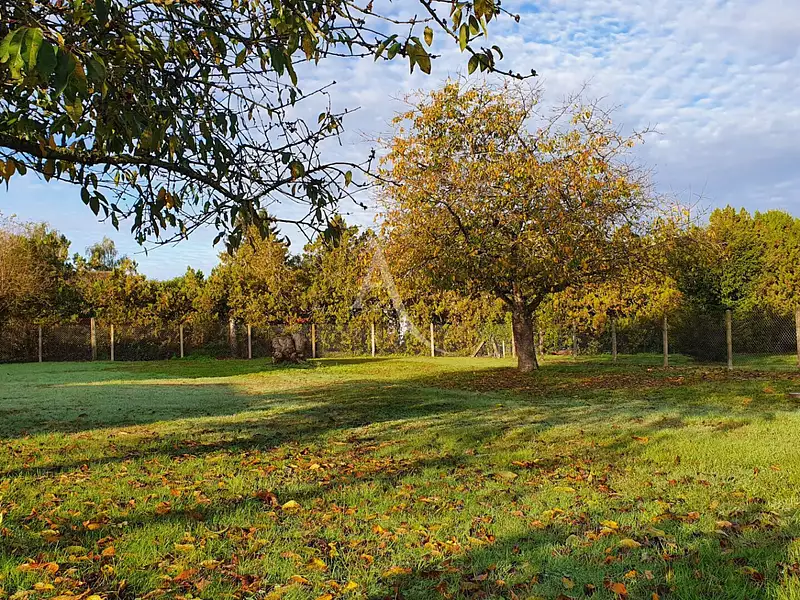 Terrain à bâtir, 388 m² - Pernay (37230)
