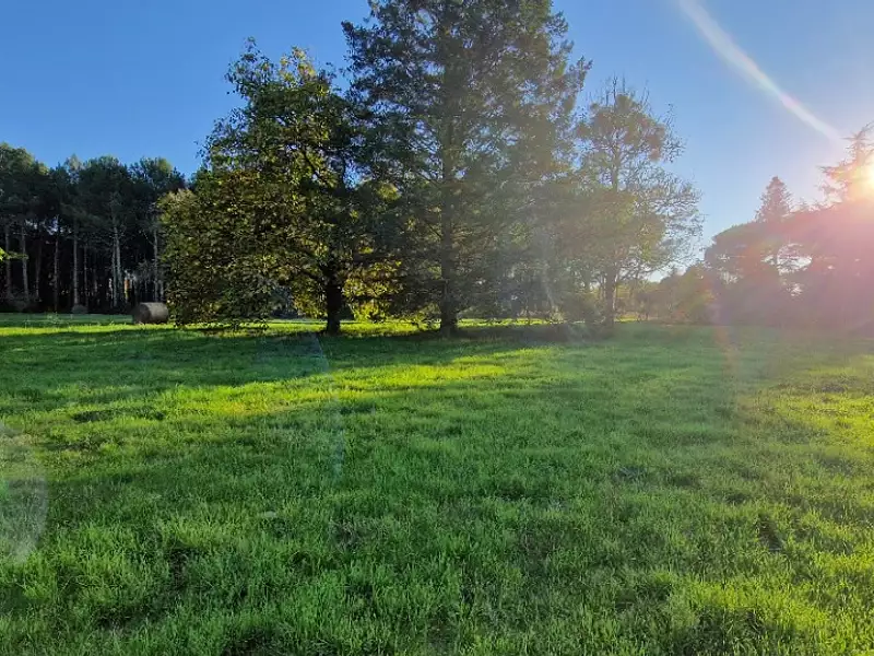 Terrain à bâtir, 1 600 m² - Bazas (33430)