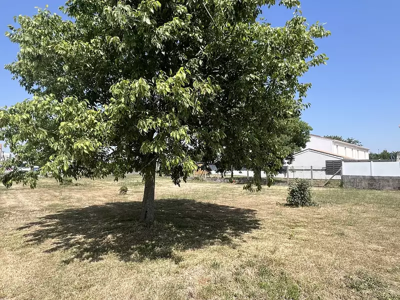 Terrain à bâtir, 300 m² - Fouras (17450)