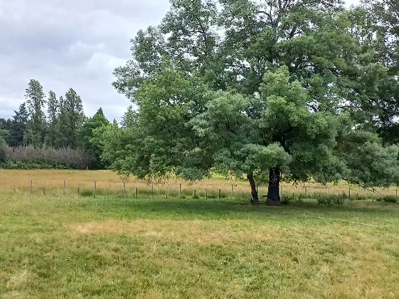 Terrain à bâtir, 1 200 m² - Ménesplet (24700)