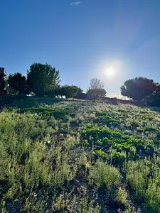 Terrain à bâtir, 900 m²