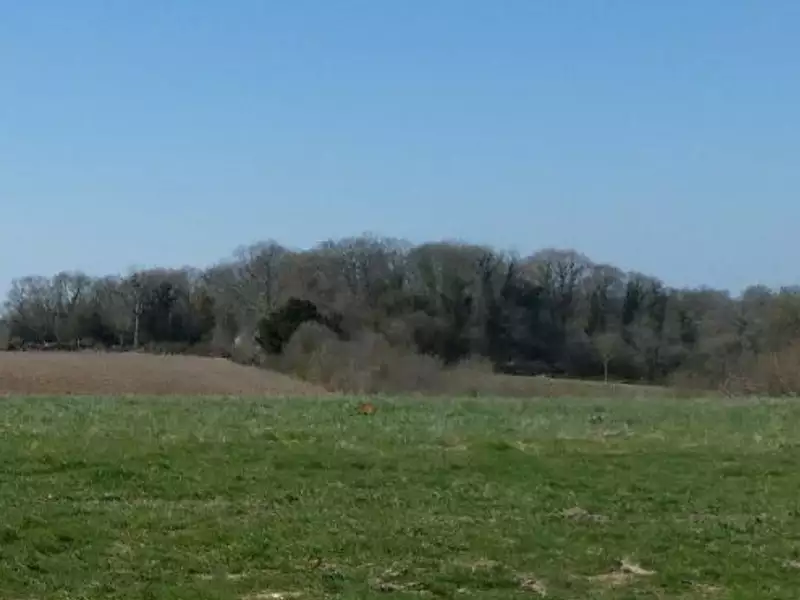 Maison neuve, 100 m² - Manerbe (14340)