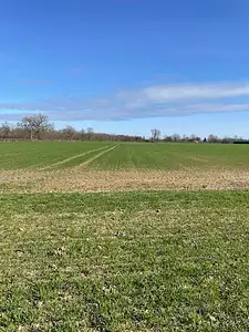 Terrain à bâtir, 1 100 m²