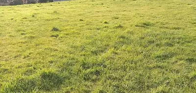 Terrain à bâtir, 1 285 m²