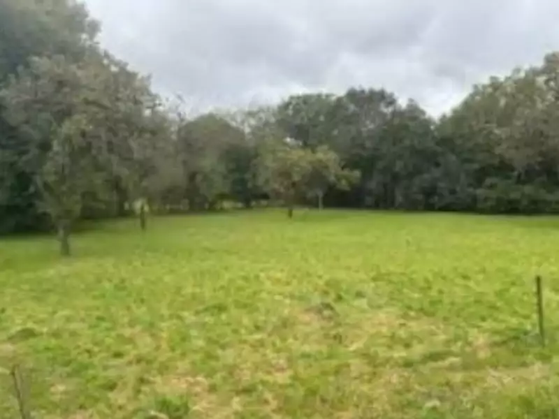 Terrain à bâtir, 1 600 m² - Venoy (89290)