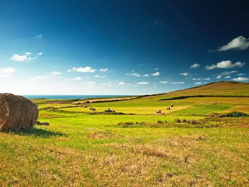 Maison neuve, 115 m² - Clères (76690)