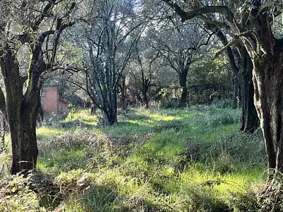 Terrain à bâtir, 800 m²