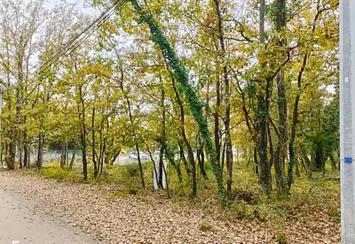 Terrain à bâtir, 700 m²