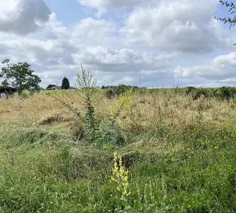 Maison neuve, 151 m²