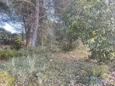 Maison neuve, 130 m²