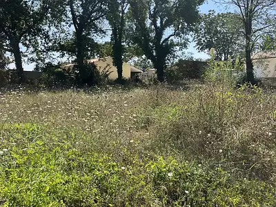 Terrain à bâtir, 250 m² - La Lande-de-Fronsac (33240)