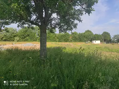 Terrain à bâtir, 5 000 m²